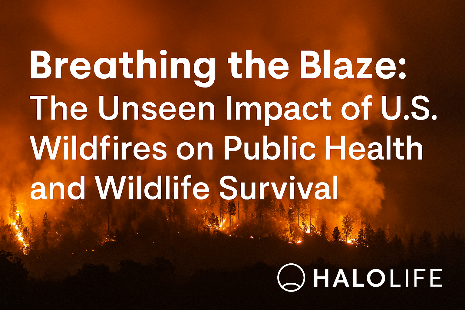 best mask for fire smoke protection