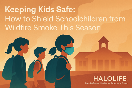 Wildfire Smoke