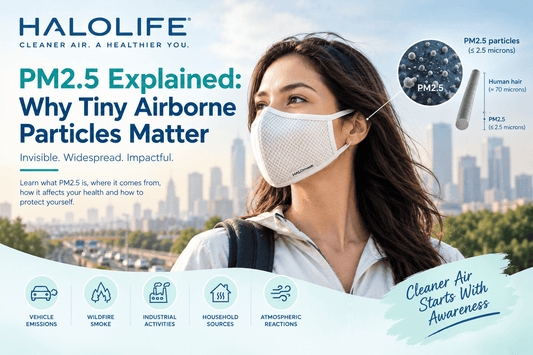 PM2.5 explained