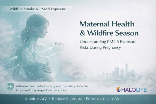 Wildfire Smoke & Pregnancy
