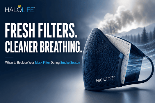 Guidelines for Smoke Season Filter Replacement