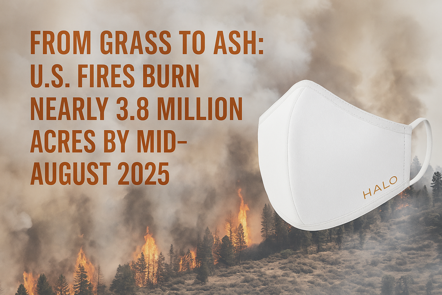 From Grass to Ash U.S. Fires Burn Nearly 3.8 Million Acres by Mid-August 2025