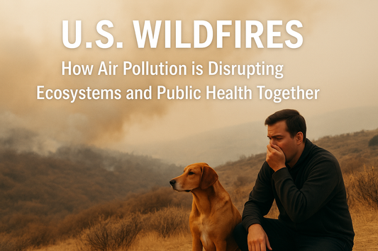 U.S. Wildfires