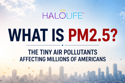 What Is PM2.5