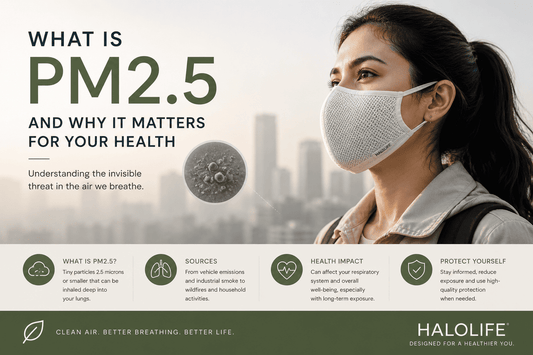 What Is PM2.5 and Why It Matters for Your Health