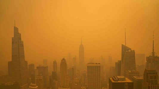 Face Mask Protect You in Wildfire Season
